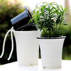 Vasi astuti di ISO9001 125mm Herb Monstera Self Watering Houseplant