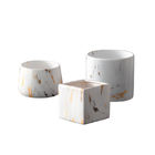 Piccoli vasi da fiori ceramici bianchi succulenti dell'interno nordici della tazza 9cm