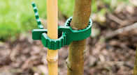 Legami regolabili dell'albero di gomma della pianta di giardino di Brimmy di morbidezza di 24cm