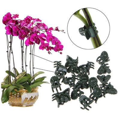 Morsetto di plastica di larghezza di sostegno 1cm della vite per le clip dell'orchidea di farfalla